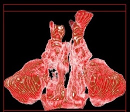 画像12
