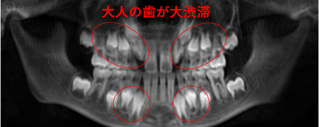 こどもと女性の歯科クリニック