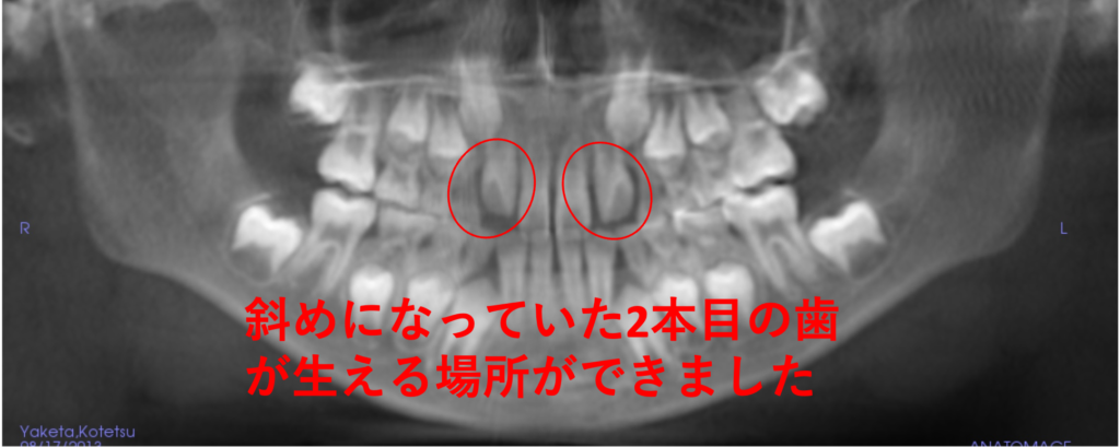 こどもと女性の歯科クリニック