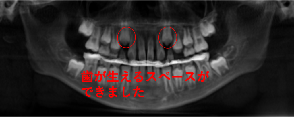 こどもと女性の歯科クリニック
